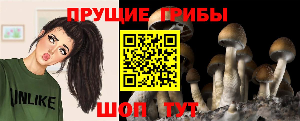Галлюциногенные грибы ЛСД  наркошоп  Большой Камень  Вход с VPN 